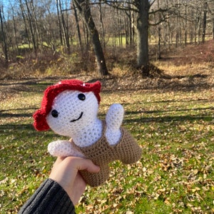 Little Mushroom Man