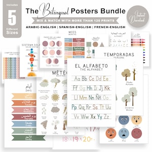 May include: A bundle of bilingual educational posters in various sizes. The posters cover topics like the alphabet, seasons, weather, and the solar system. The posters are in Arabic-English, Spanish-English, and French-English.
