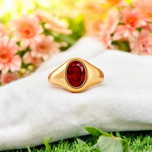Peut inclure: Une bague en or avec une pierre précieuse ovale rouge foncé. La bague est posée sur un tissu blanc, avec un arrière-plan flou de fleurs roses et d'herbe verte. Le corps de la bague est de couleur or poli.