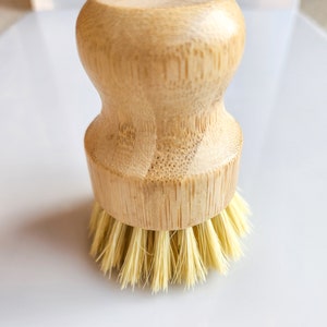 May include: A wooden dish brush with natural bristles. The brush has a round, wooden handle.