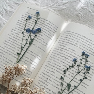 forget me not bookmark | real dried flowers | gift for reader | bookmark for women | bookmark set | bookmark with tassel