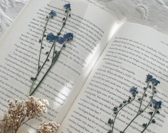 forget me not bookmark | real dried flowers | gift for reader | bookmark for women | bookmark set | bookmark with tassel