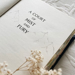 ANNOTATED a court of mist & fury | sarah j. maas | book lover | fantasy | book quotes | bookish gifts | book cover | rhysand | feyre