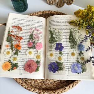 May include: An open book with pressed flowers on the pages. The book is titled "A Court of Mist and Fury" and the text on the pages is visible. The flowers are pressed between the pages and are a variety of colours, including pink, purple, yellow, and orange.