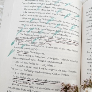 annotated copies of a court of mist and fury and a court of thorns and roses fantasy books sarah j. maas annotated books book lover image 4