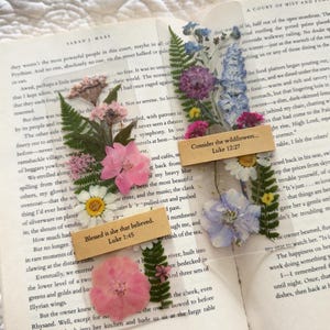 May include: A collection of pressed flowers, including pink, purple, and white blooms, arranged on clear plastic with inspirational quotes. The flowers are set against the backdrop of an open book.