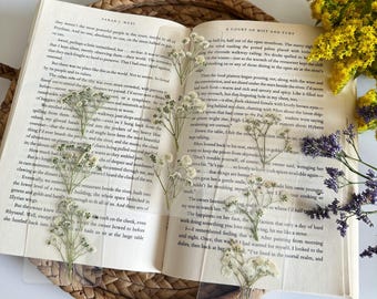 Baby's Breath Bookmark Set for Readers - Real Pressed Flowers - Bookish Accessories Book Lover Book Club Gift - Laminated Page Marker