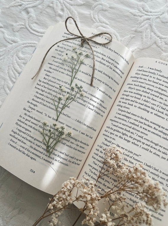 Natural Dried White Flowers DIY Bookmark Gift Card Wedding Invitation  Decoration