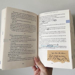annotated books | book quotes | sarah j. maas | book set | book cover | book accessories | a court of thorns and roses | acomaf | acowar