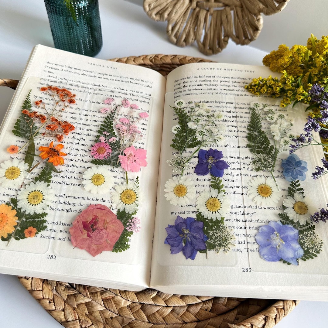 Spring Pressed Flower Bookmark - Real Dried Floral Laminated Page ...