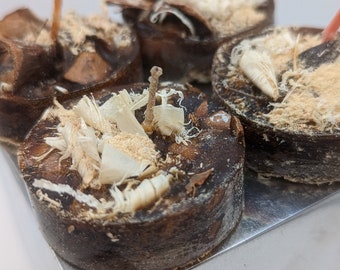 Wood Fire Starters -- Package of 4