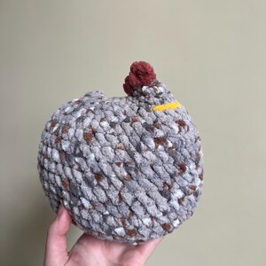 Crochet Chicken with Eggs