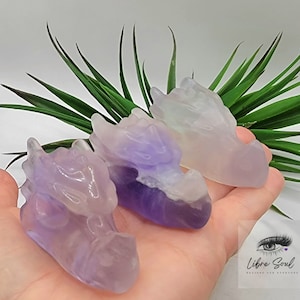 Natural Fluorite  Crystal Carved Dragonhead
