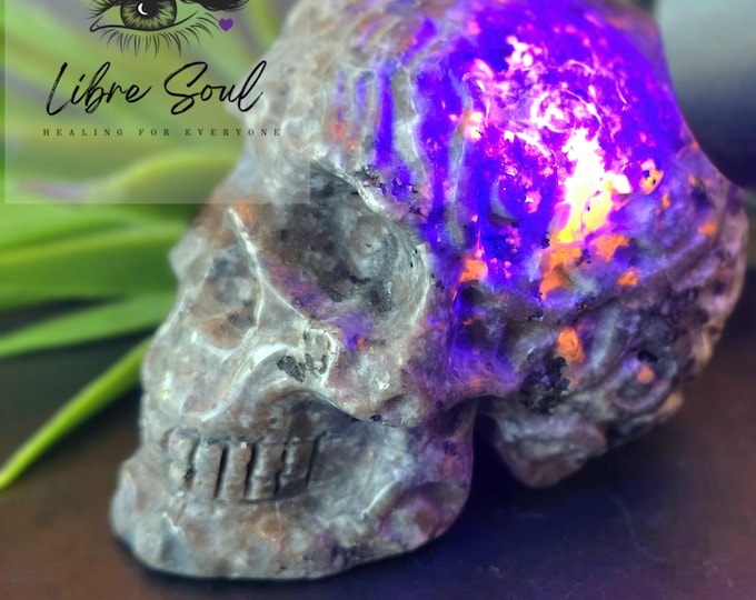 Yooperlite Crystal Skull: UV Active Carved Stone (3.5"x2.75", 396gm)