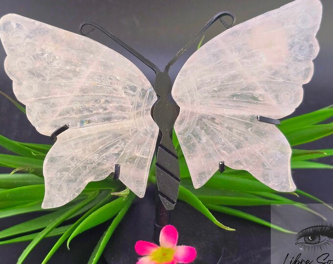 Natural Rose Quartz Butterfly Wings Carved Crystal ~ w/ stand |Free Gift Services