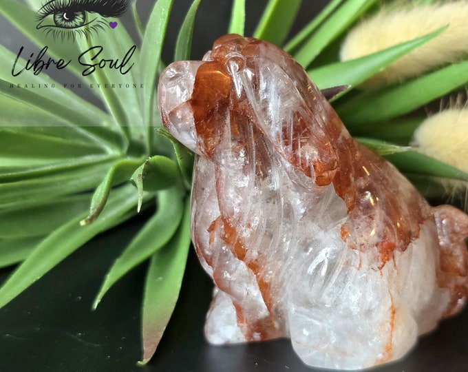 Natural Fire Quartz Dog | Hand Carved Fire Quartz Dog| Super Cute! Rainbows in the Quartz