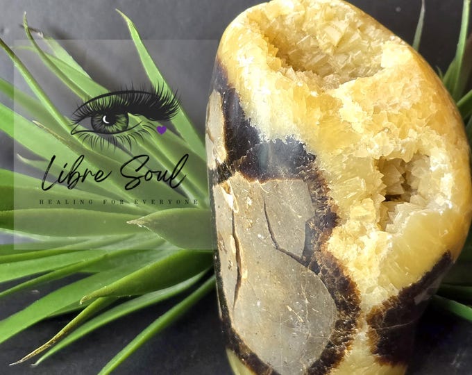 Natural  Septarian Free Form  Crystals |Dragon Stone Free Form with Druzy~ 4" 100mm