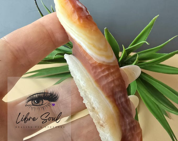 Natural Wind Cut Fossil Agate Crystal~3"  | Healing Wind Agates|