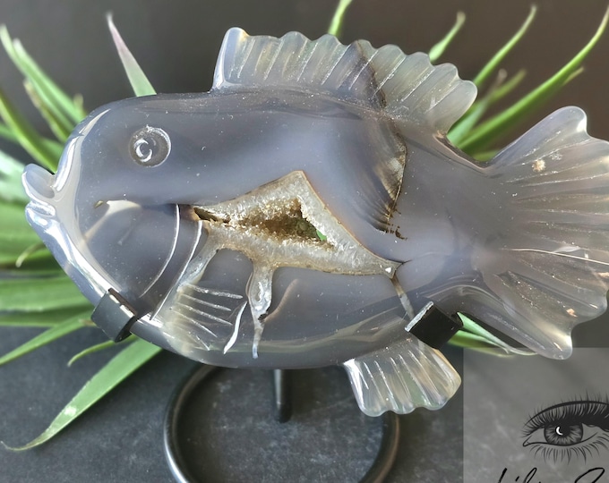 Natural  Agate Fish Crystal Druzy Carving with Stand/ Gift Idea