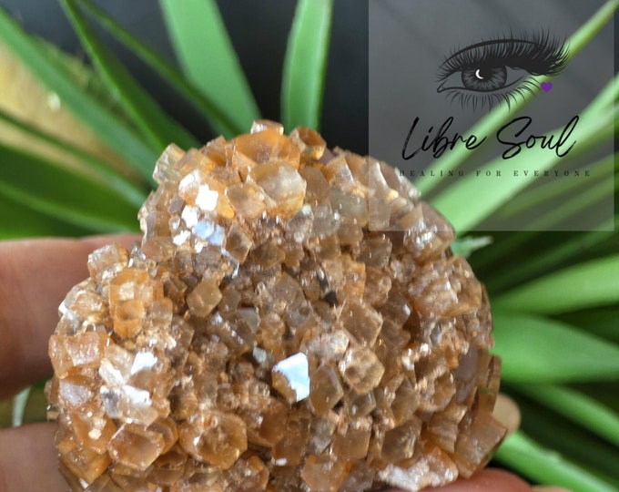 Natural Aragonite Crystal Specimen| Raw Aragonite| Specimen Cluster |Red Aragonite from Morocco| Crown & Root Chakra