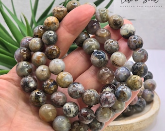 Natural Pietersite Beaded Bracelet: Storm Stone, Calming Crystal (10mm)