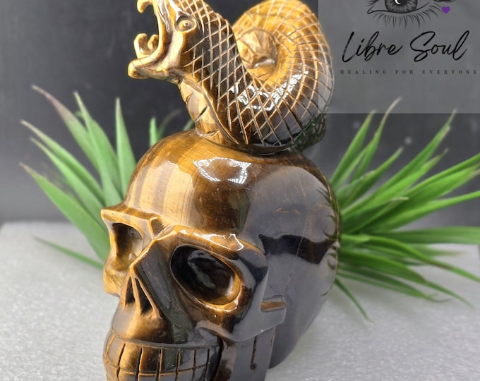 Natural Tiger Eye Skull with Snake Crystal Carving| Hand Carved 4.4 lbs | Work of Art| With Flash