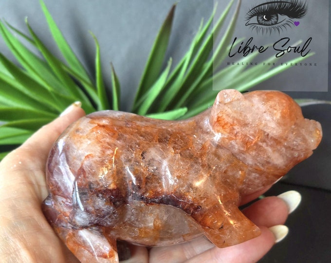 Natural Fire Quartz 4"  Pig Crystal Carving~ Hematoid Red Quartz Pig Crystal Carving W/ Rainbows