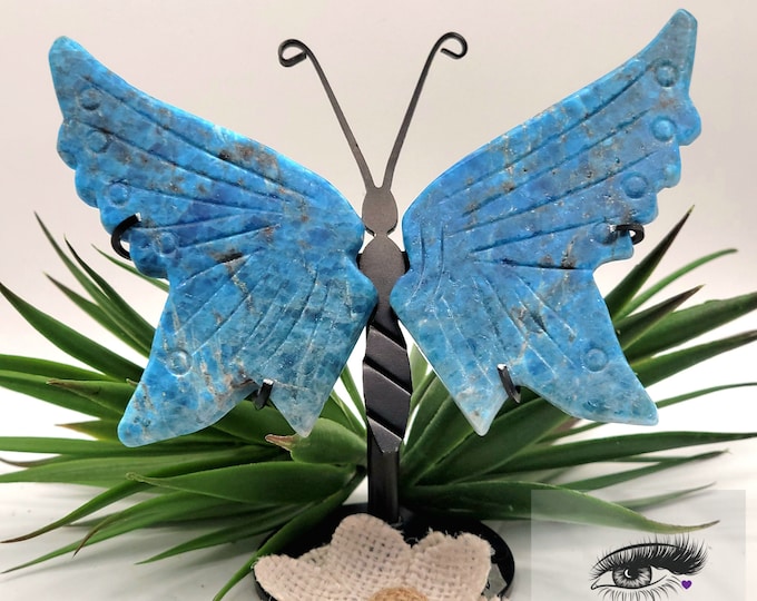 Natural Blue Apatite  Butterfly Wings Carved Crystal~ Druzy ~ w/ stand