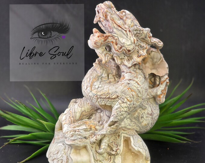 Crazy Lace Agate Dragon Crystal Carving with Sugar Druzy! ~ WoWza Stunning Dragon! Year of the Dragon!