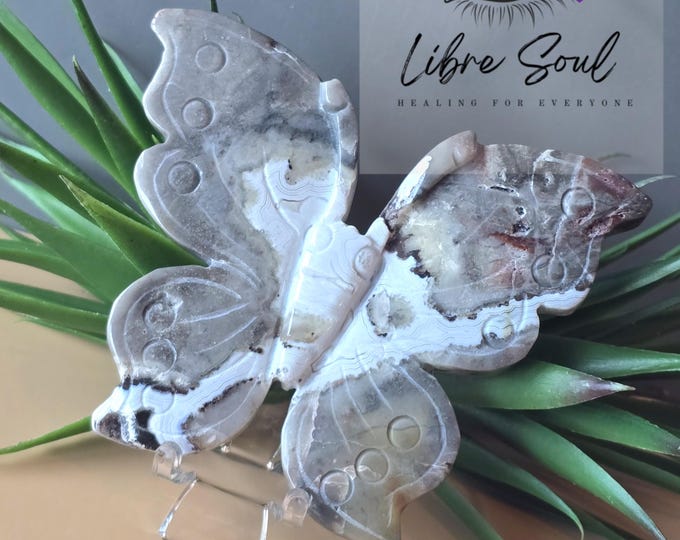 Natural African Bloodstone Jasper Butterfly Carved Druzy Crystal with Stand~ Druzy Butterfly Beautiful Gift Idea!