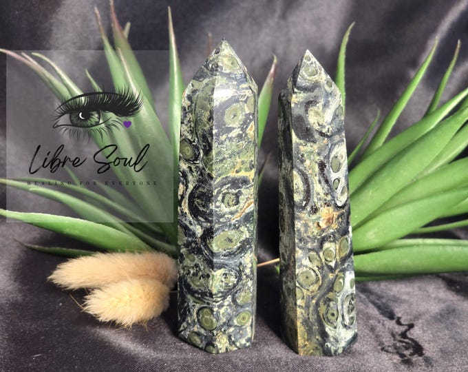 Natural Kambaba Points