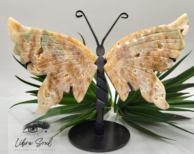 Natural Sphalerite Butterfly Druzy Wings Carved Crystal ~ w/ stand