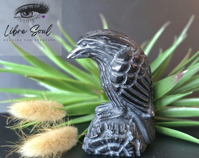 Natural Obsidian Crow Crystal Carving