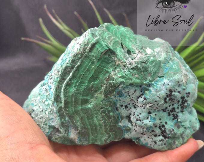 Natural Chrysocolla & Malachite Crystal Specimen ~ Rare~ Stunning!