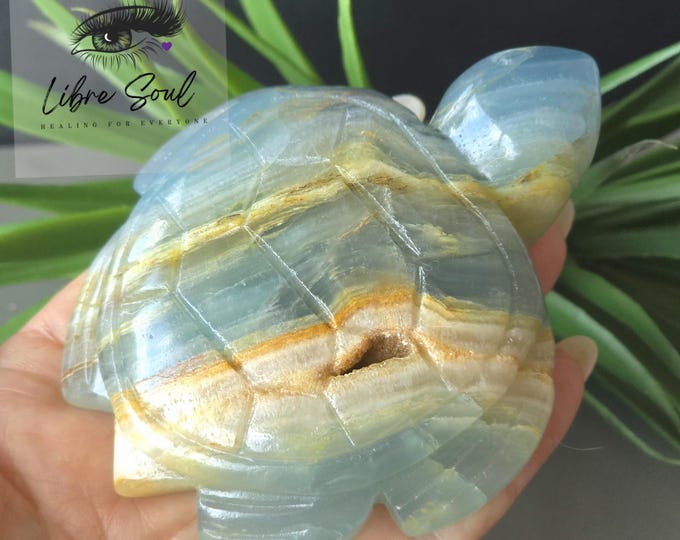 Natural Blue Onyx 3.5" Turtle Crystal Carving w/ Druzy| Super Cute~ New Job~ New Home~ Gift Idea~ Good Luck/Blue Lemurian