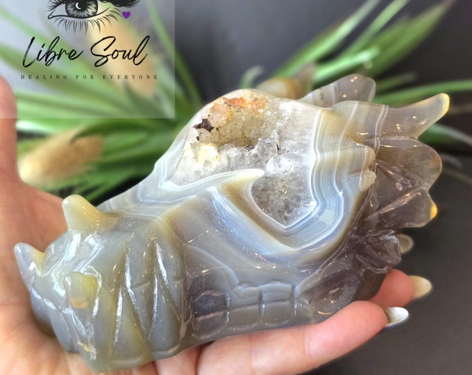 Natural Banded Agate Dragonhead Carved Crystal with Druzy~ Stunning! 5" Banded Agate with Druzy