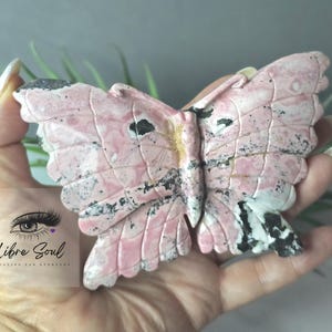 May include: A pink and gray butterfly-shaped stone carving. The wings have a detailed, textured pattern with black and white accents. The sculpture is held in a hand, showcasing the intricate details of the carved stone.