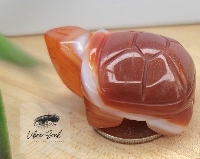 Natural Carnelian Crystal Carved Turtle~ Super Cute~ Good Luck