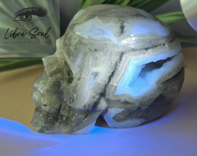 Natural Fluorite & Agate Coexisting Crystal Skull| Yellow Fluorite\ Agate 3.25" Carved Druzy Skull