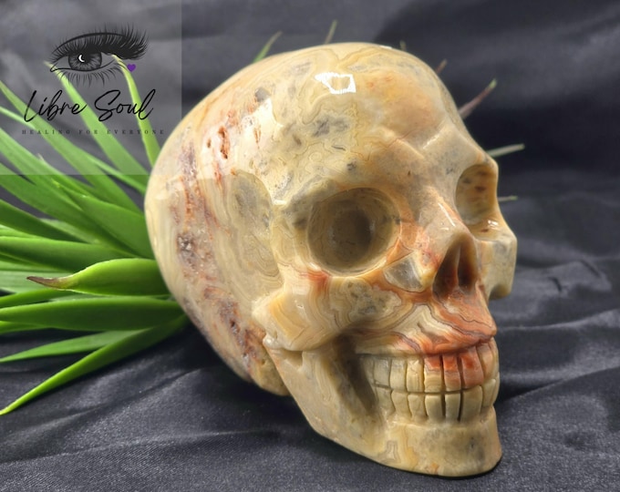 Natural Crazy Lace Agate Skull  Crystal Carving~4.5" and 2lbs.\ 904 grams