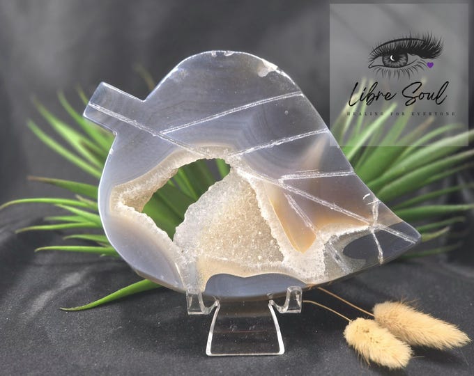Natural Agate Leaf 5.5" Carving with Druzy | Gift Idea, Gift Services ~ Stunner!