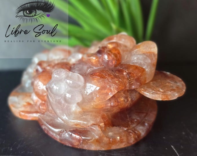 Fire Quartz 4" Money Toad Carving: Natural Feng Shui Charm| New Job or  Home | Lucky Toad| Detachable coin