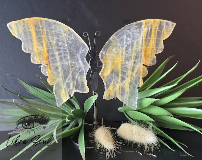 Natural Golden Healer  Butterfly Wings Carved Crystal Quartz ~ w/ stand