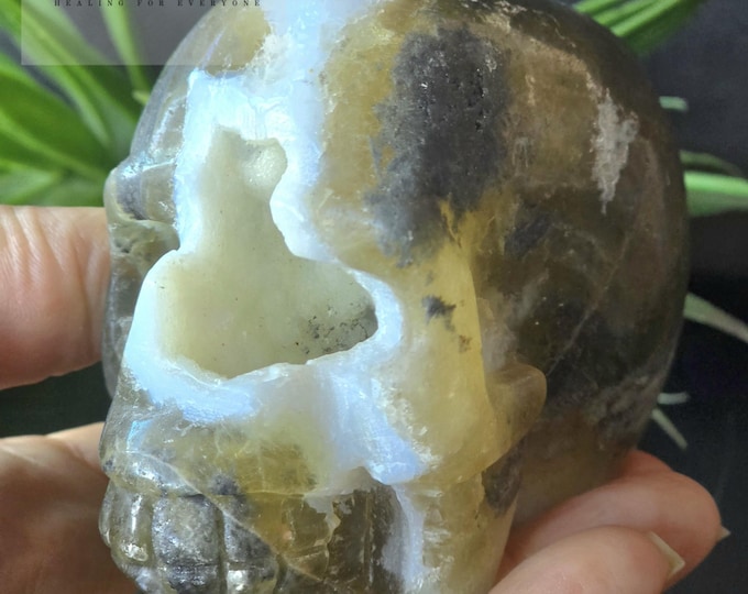 Fluorite Agate Crystal Skull: Carved Druzy Stone, 3.75"