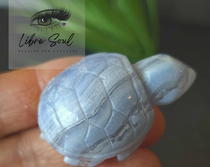 Blue Lace Agate turtle : Hand Carved Crystal Figurine