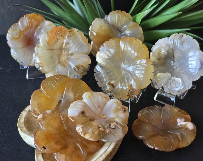 Natural 2" Carnelian Flower Agate Hand Carved 2" Flower| Carnelian Flower Agate Sweet |Great Value!