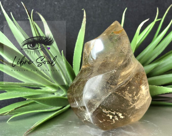 Natural Smoky Quartz Crystal Flame~ with Rainbows/Super Cute 3.25"| Capricorn~ Libra~ Solar Plexus, Sacral and Root Chakra