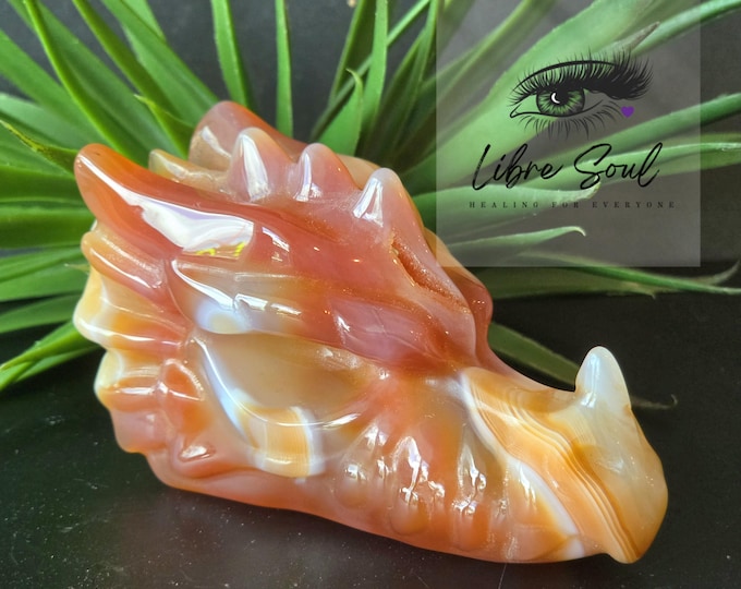 Natural Carnelian Dragon head Crystal Carving|Druzy|Gorgeous Banding
