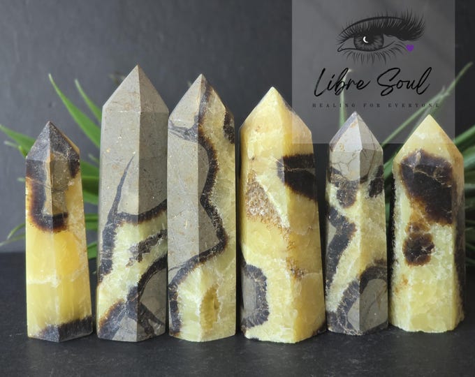 Natural Septarian Nodule Dragon Points ~Towers ~ Septarian Tower and Points