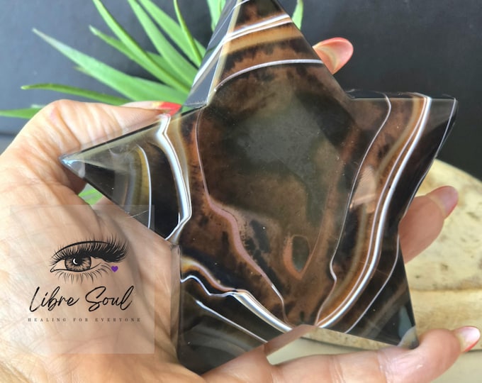 4" Black Sardonyx Banded Star| Natural Black  Sardonyx Crystal Estrella  Brown Banding| Stand Included